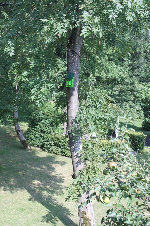 B&B Villa Roma Durbuy Kültér fotó